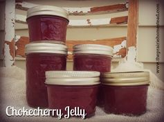How to Make Chokecherry Jelly (low-sugar and honey variations