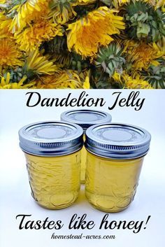 How To Make Dandelion Jelly