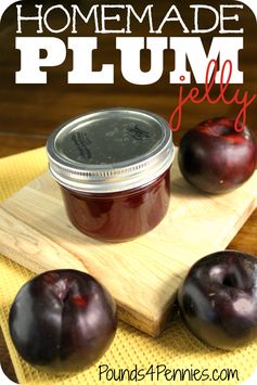 How to Make Homemade Jelly : Plum Jelly