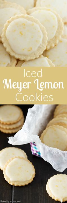 Iced Meyer Lemon Cookies