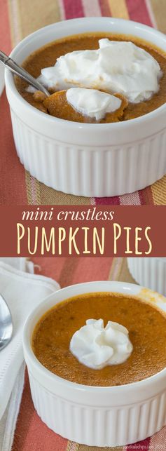 Individual Crustless Pumpkin Pies (aka Pumpkin Custards