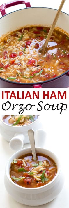 Italian Ham and White Bean Orzo Soup