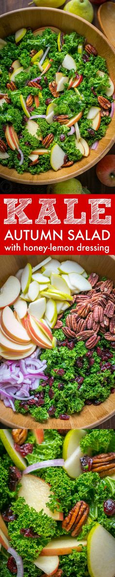 Kale Salad Recipe with Honey Lemon Dressing