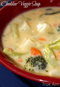 Kid Friendly Cheddar Veggie Soup