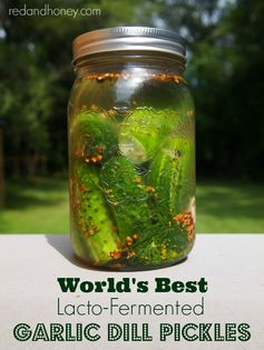 Lacto-Fermented Garlic Dill Pickles