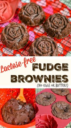 Lactose-Free Fudge Brownies