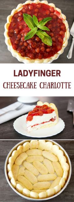 Ladyfinger Cheesecake Charlotte