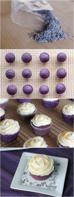 Lavender Cupcakes with Honey Frosting