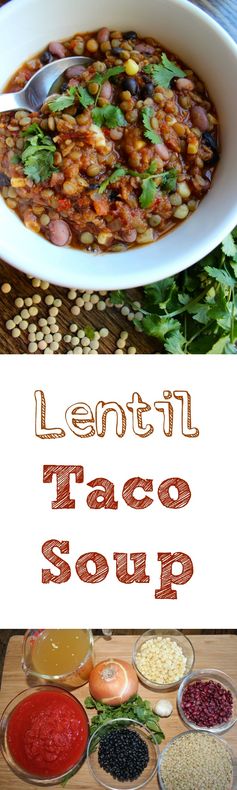 Lentil Taco Soup