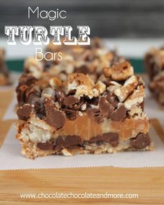 Magic Turtle Bars