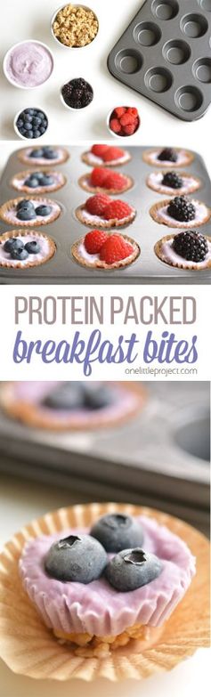 Make Ahead Protein Packed Breakfast Bites