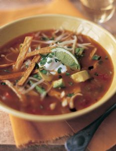 Mexican Chicken Soup