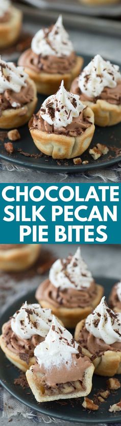 Mini Chocolate Silk Pecan Pie Bites