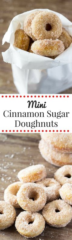 Mini Cinnamon Sugar Doughnuts