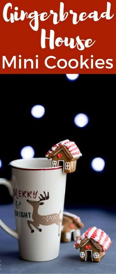 Mini Gingerbread House Mug Cookie - gluten free