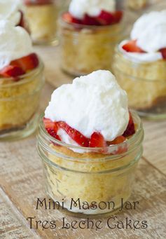 Mini Mason Jar Tres Leches Cakes