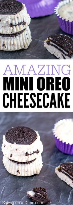 Mini Oreo Cheesecake ecipe