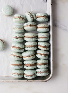 Mint Chocolate Chip Macarons