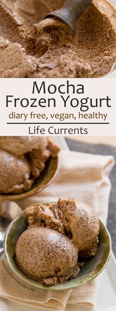 Mocha Frozen Yogurt