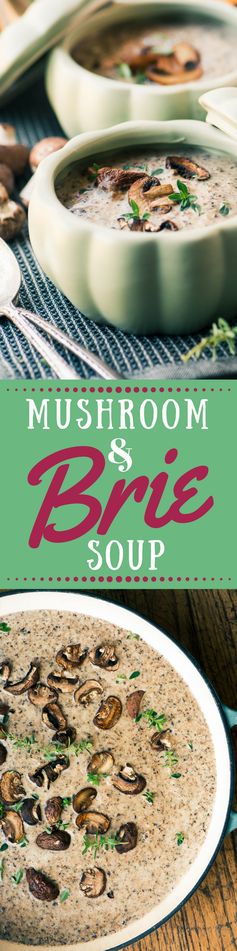 Mushroom and Brie Soup