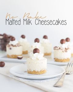 No Bake Malted Milk Cheesecakes