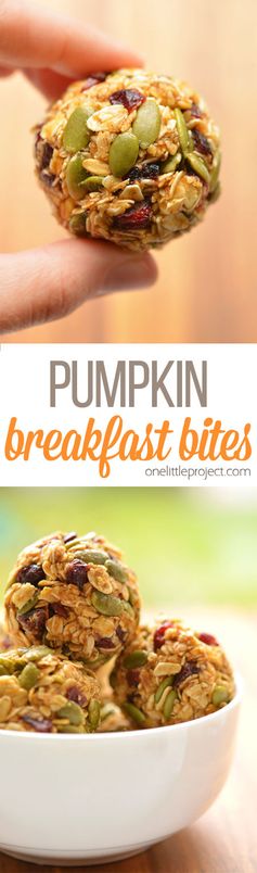 No-Bake Pumpkin Breakfast Bites