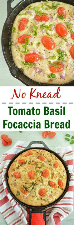 No Knead Tomato Basil Focaccia Bread