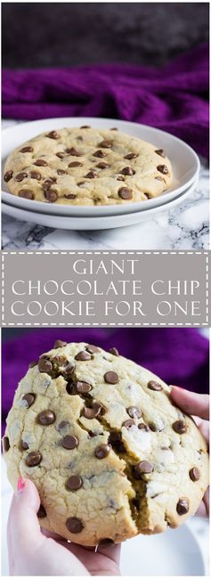 One Giant Chocolate Chip Cookie