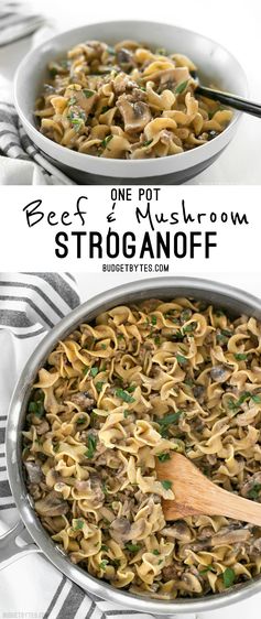 One Pot Beef and Mushroom Stroganoff