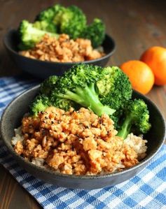 Orange Ground Chicken Rice Bowls