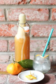 Orange Kefir Soda Pop