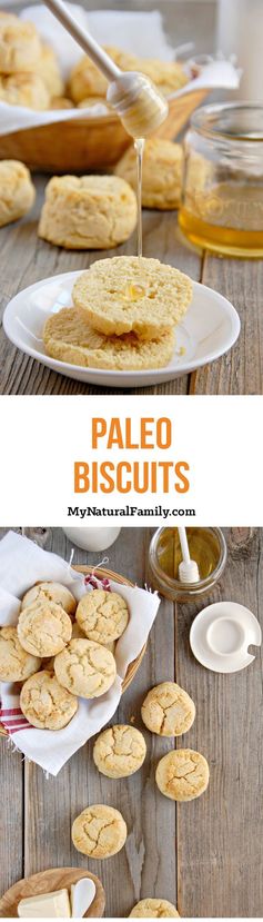 Paleo Biscuits