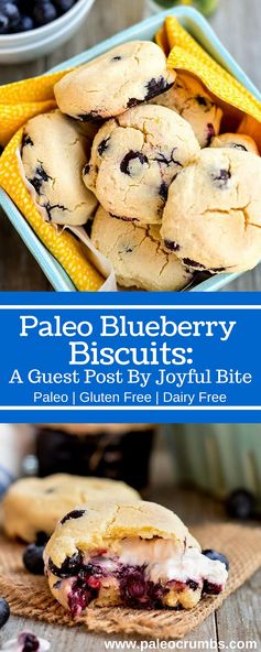 Paleo Blueberry Biscuits