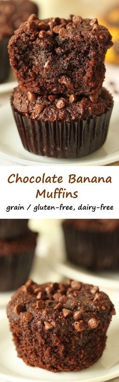 Paleo Chocolate Banana Muffins (grain-free, gluten-free, dairy-free