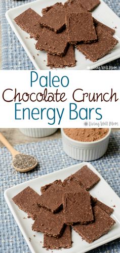 Paleo Chocolate Crunch Energy Bars