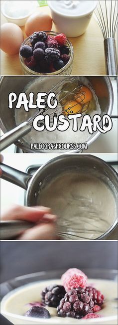 Paleo Custard