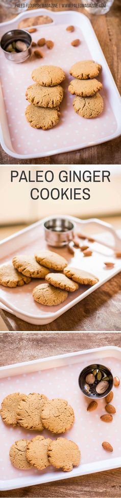 Paleo Ginger Cookies