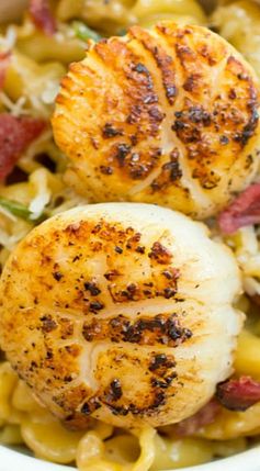 Pan Seared Sea Scallops with White Wine Bacon Cream Sauce