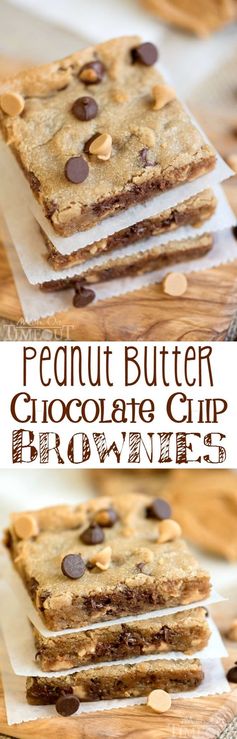 Peanut Butter Chocolate Chip Brownies