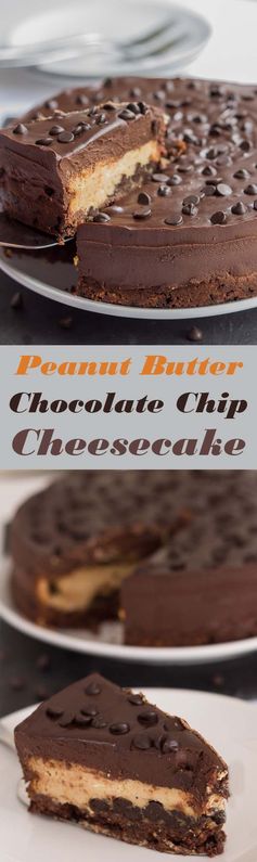 Peanut Butter Chocolate Chip Cheesecake