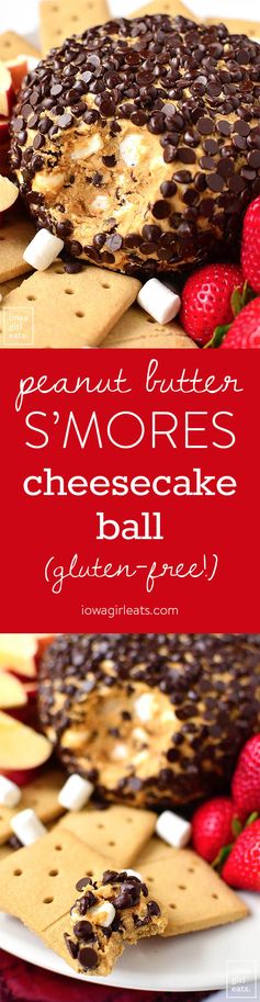 Peanut Butter S’Mores Cheesecake Ball