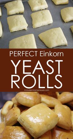 Perfect Einkorn Yeast Rolls