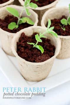 Peter Rabbit's Potted Chocolate Pudding