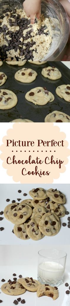 Picture Perfect Chocolate Chip Cookies