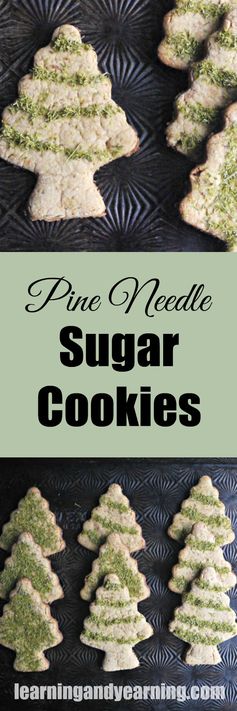 Pine Needle Sugar Cookies