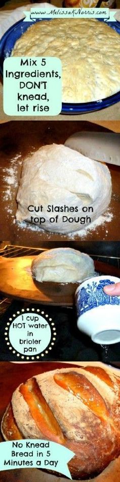 Pioneering Today-Bake Your Own Bread In Less than 5 Minutes a Day