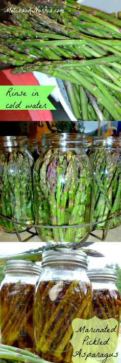 Pioneering Today-How to Make and Can Marinated Pickled Asparagus