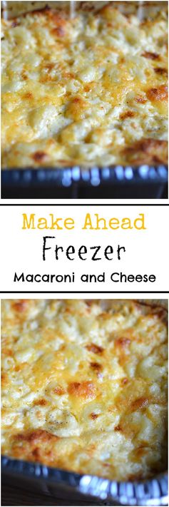 Plan Ahead Freezer Friendly Macaroni and Cheese