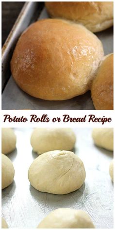 Potato Rolls or Bread