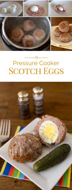 Pressure Cooker Scotch Eggs